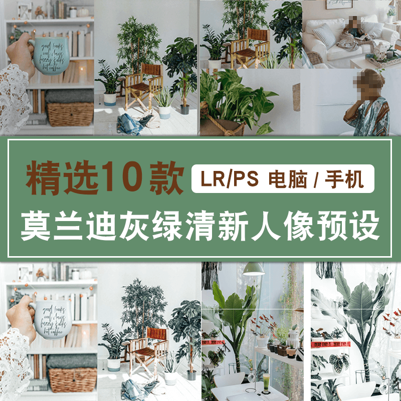 街拍自拍人像ps调色滤镜版lr预设莫兰迪灰绿小清新通透 标准