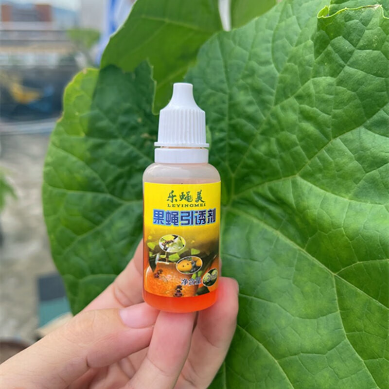 星舵果蝇器盖头诱虫神器蔬菜瓜果桔小实蝇引诱剂诱蝇球粘胶针蜂药