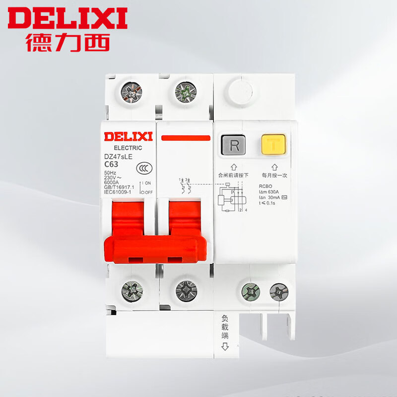德力西电气（DELIXI ELECTRIC）DZ47SLE-63-2P 小型漏电保护断路器 漏保空气开关DZ47SLE-63-2P-C63