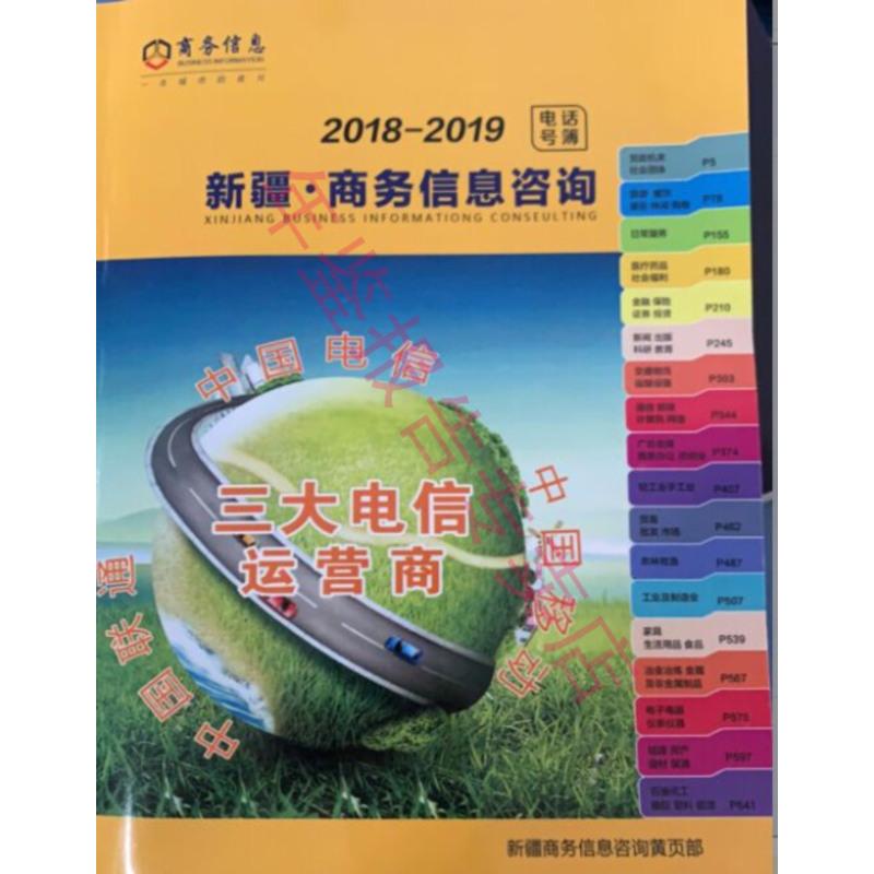 正版现货-2018-2019新疆商务信息咨询
