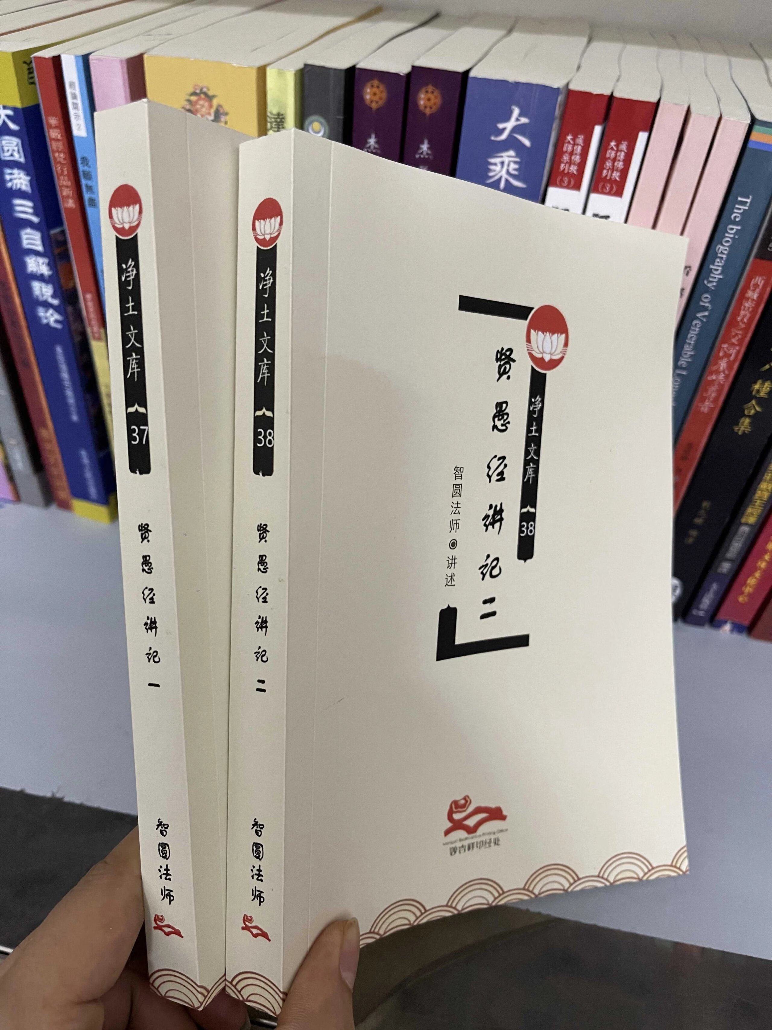 贤愚经讲记（净土文库37-38）