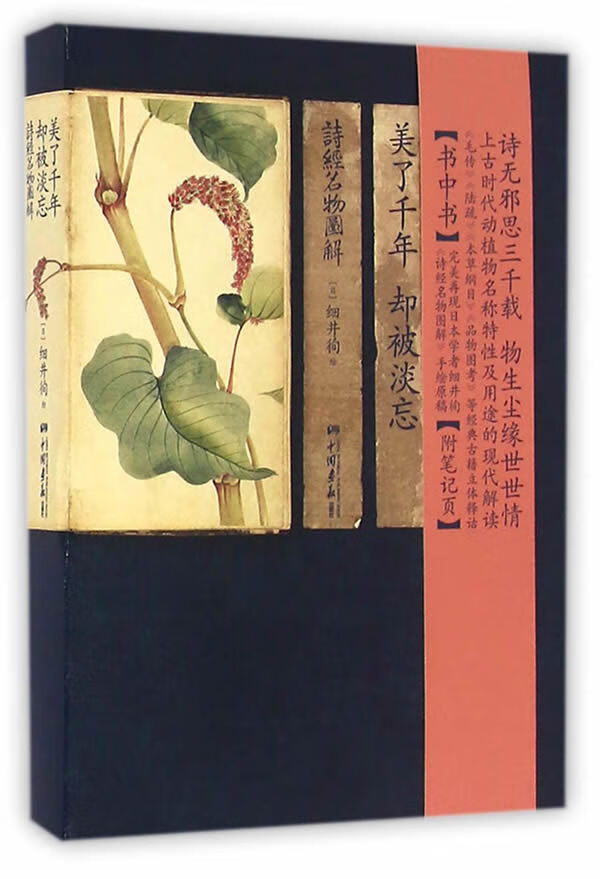 图解:《诗经》中的动植物穿越时空来到你面前(日)细井徇中国画报出版