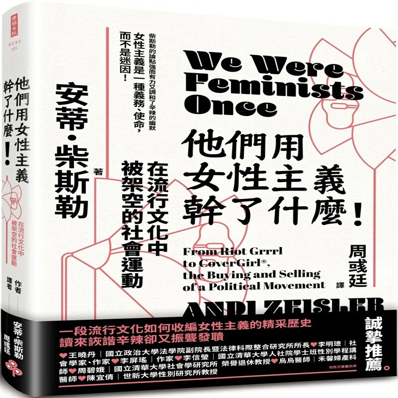 现货 他们用女性主义干了什么！：在流行文化中被架空的社会运动 22 安蒂．柴斯勒 时报进口原版进口原版