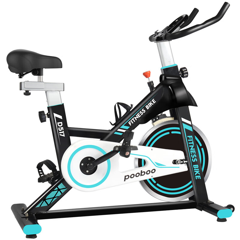 蓝堡动感单车家用健身器材室内脚踏车运动健身车D517带显示屏吗？