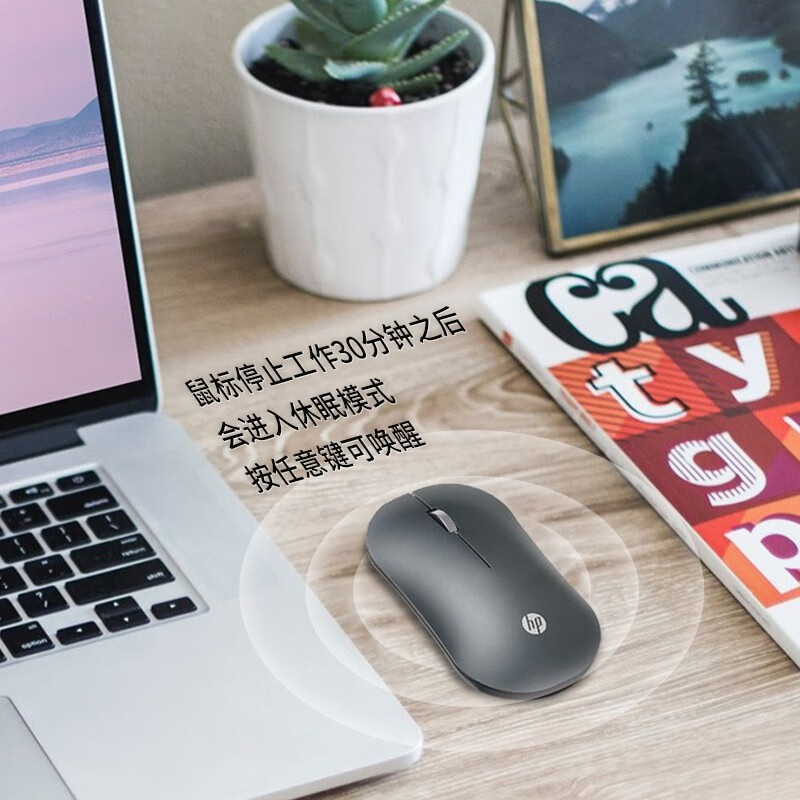 惠普（HP）DM10无线蓝牙双模鼠标 蓝牙5.0办公多模微声便携商务办公鼠标台式机笔记本鼠标 【电池版送鼠标垫】多模银灰色