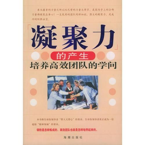 凝聚力的产生:培养高效团队的学问【上新】