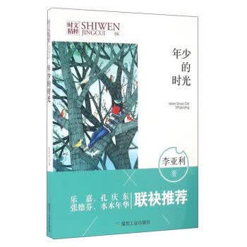 少年的时光【正版图书】