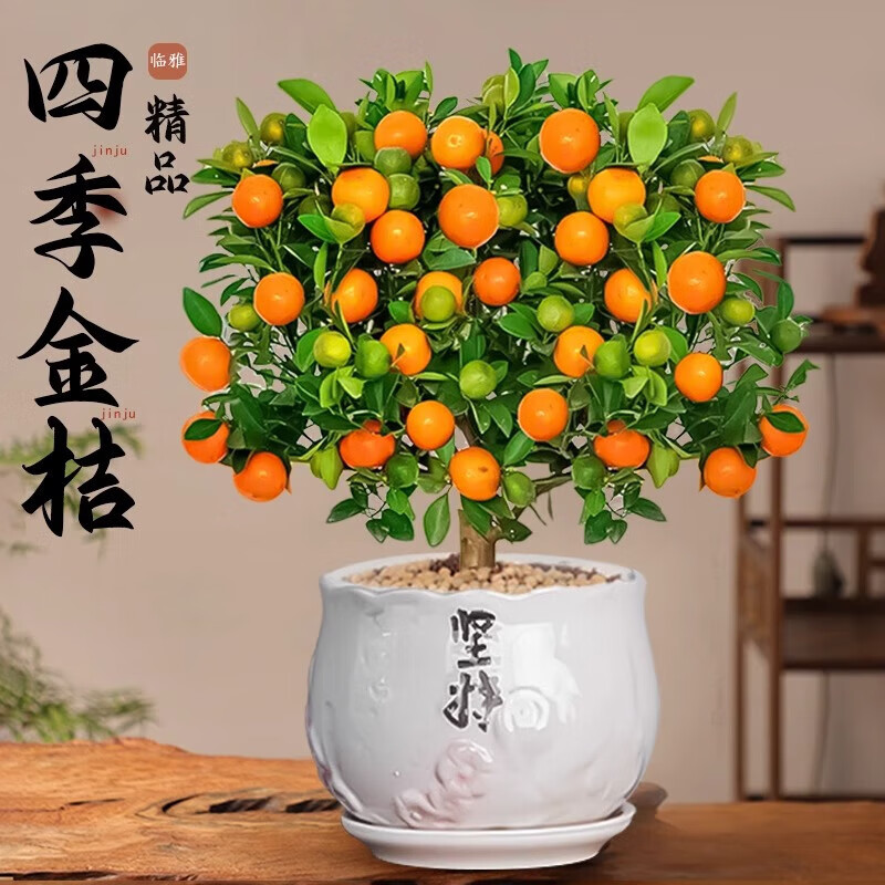 ���ڲ����������ļ���Ƥ������������ڿ���������ʳ������ʽ�����辰������ֲ�� ���������ļ������+�����