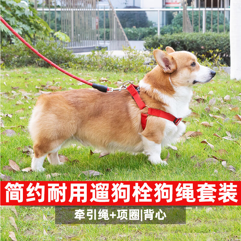 斯派科狗狗牵引绳套装遛狗栓狗绳子胸背项圈整套柯基大型犬金毛防爆冲绳 红色三件套|绳长3米+项圈+胸背 XL-【35-60斤】
