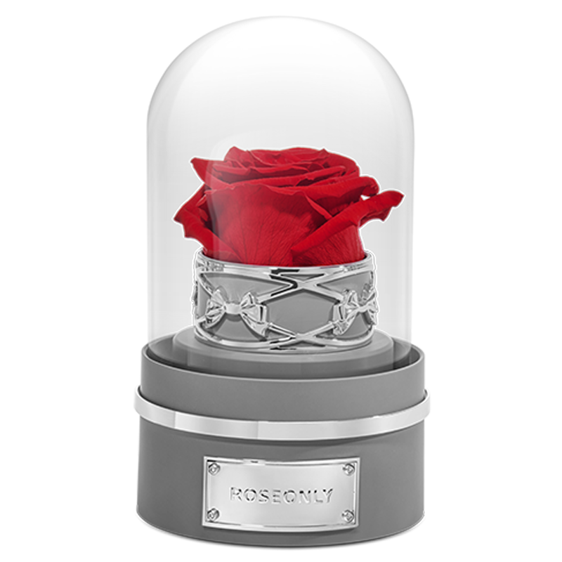 roseonlyŵ�����������ޱ�����������õ�廨��������Ů���������˽����� ˮƿ��-������-����-�ػ�ɫ 1182Ԫ