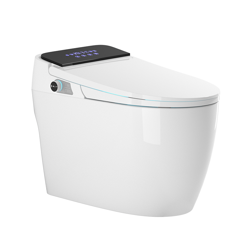 水可节（SKJSHUIKEJIE）智能坐便器德国SKJ卫浴智能马桶可以入手吗？评测哪一款功能更强大？