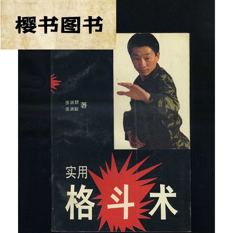 实用格斗术/张鸿骠武功武术