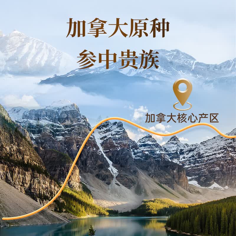 雷允上加拿大西洋参片160g礼盒花旗参送礼送长辈营养品滋补品人参皂苷