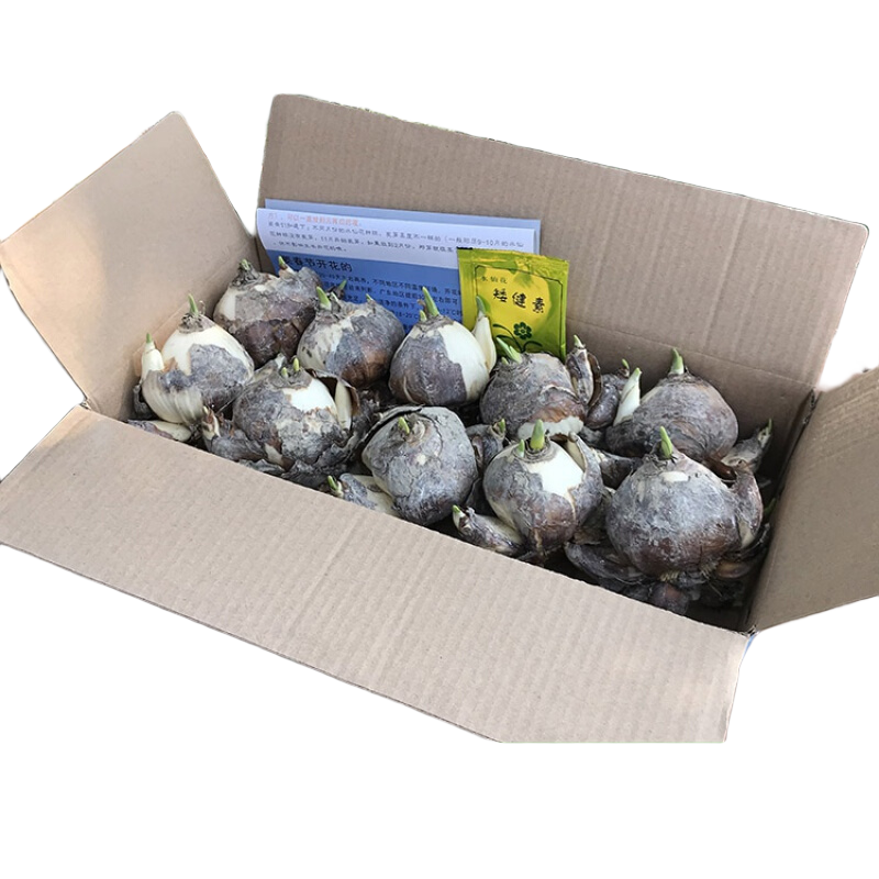 ����������ˮ�ɻ�����ˮ�໨�ܶ���ˮ�������ز������� ˮ����10�� ����