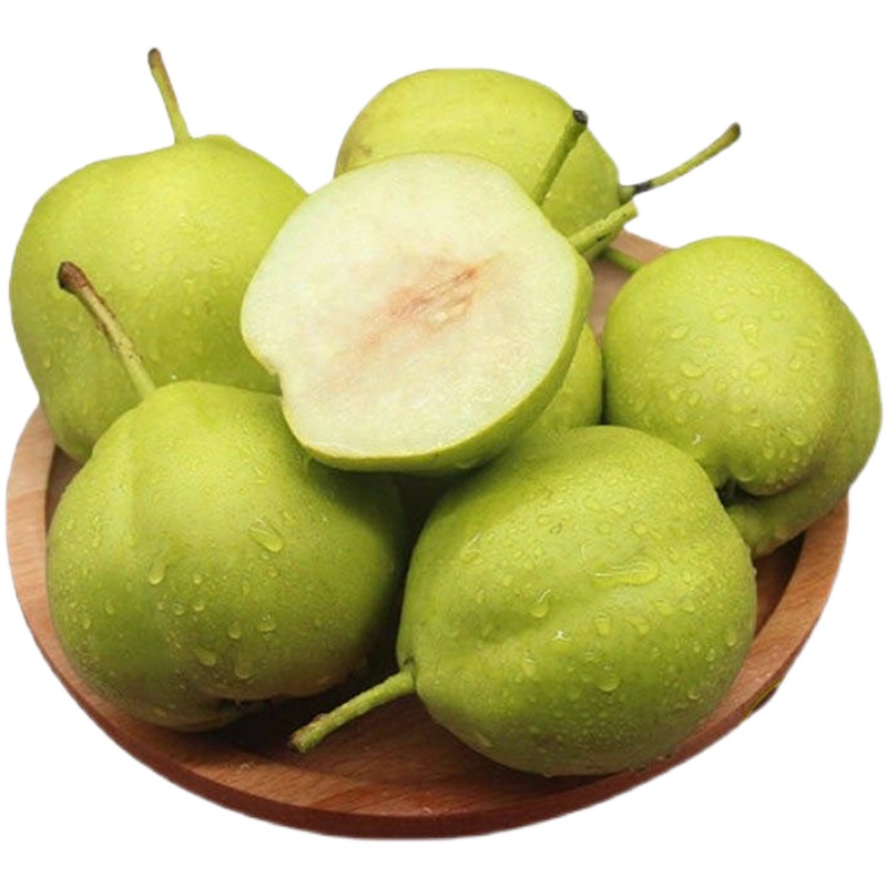 内蒙古早酥梨 子新鲜水果香梨自然熟甜多汁青皮雪梨当季整箱 3斤(个大
