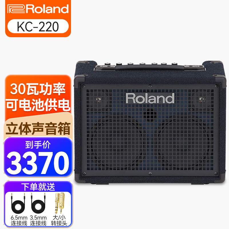 罗兰（Roland）综合乐器音箱KC系列 电子琴/电钢琴/合成器/电吉他/贝斯/键盘音响 KC220（30瓦 可电池供电）