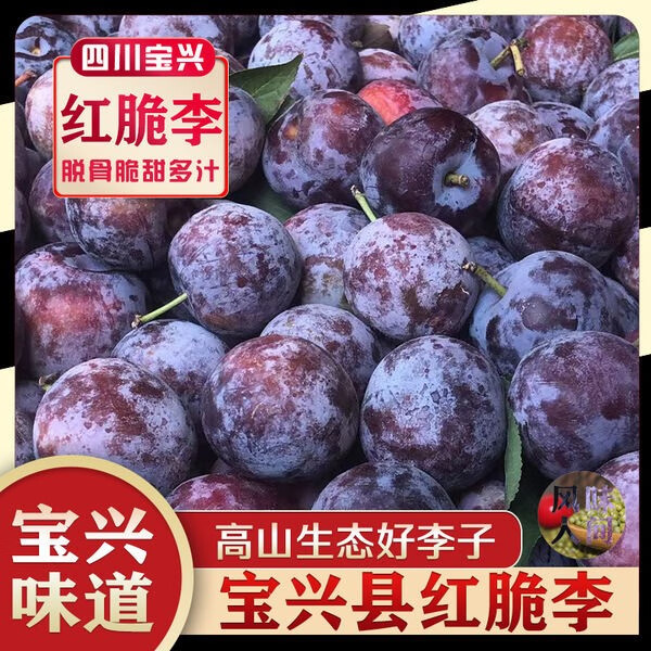 【新果】宝兴脆红李四川省宝兴县红脆李李子复兴村 3斤 20-25g