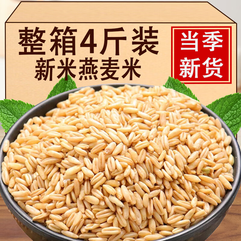 东北粗粮燕麦米5斤全胚芽米农家新货五谷杂粮粥脱皮燕麦粒裸新米 【真空包装】燕麦米 5斤
