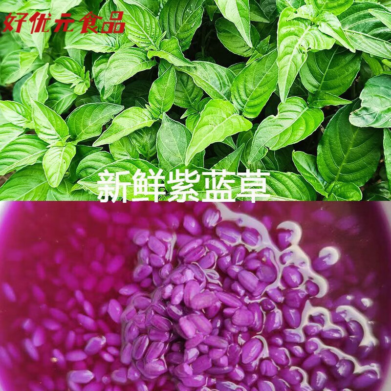 维霆新鲜红蓝草紫蓝草植物染料红丝线草纯七彩染色糯米饭植物1斤 紫