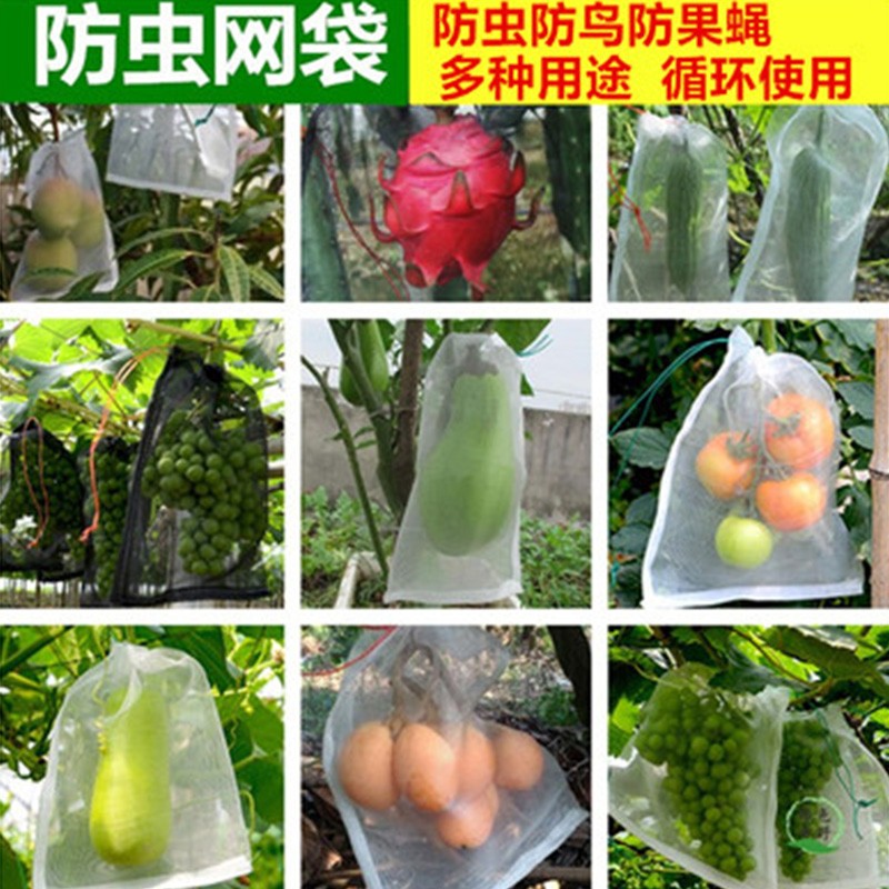 水果套袋防果蝇防鸟袋葡萄套袋苹果梨套袋 60×40厘米/10个(可装西瓜)