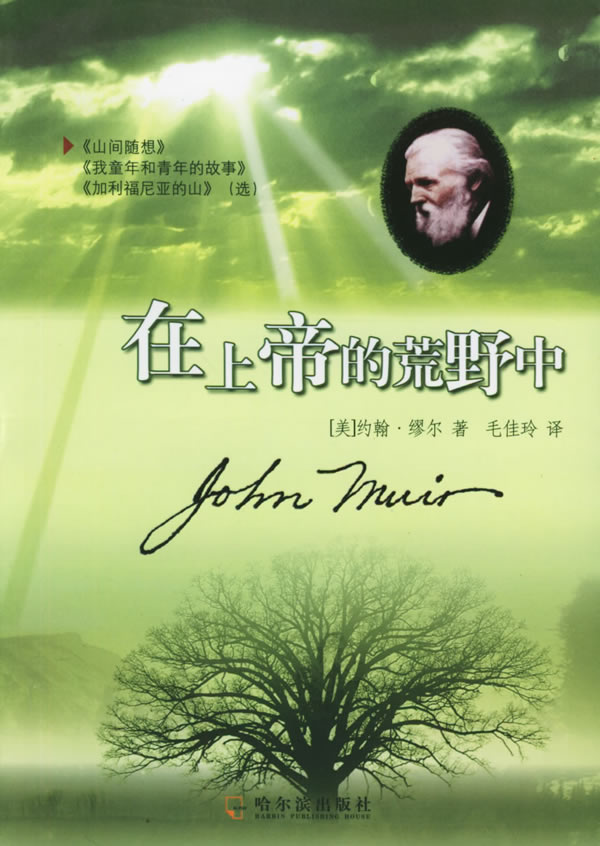 在上帝的荒野中【正版特惠】