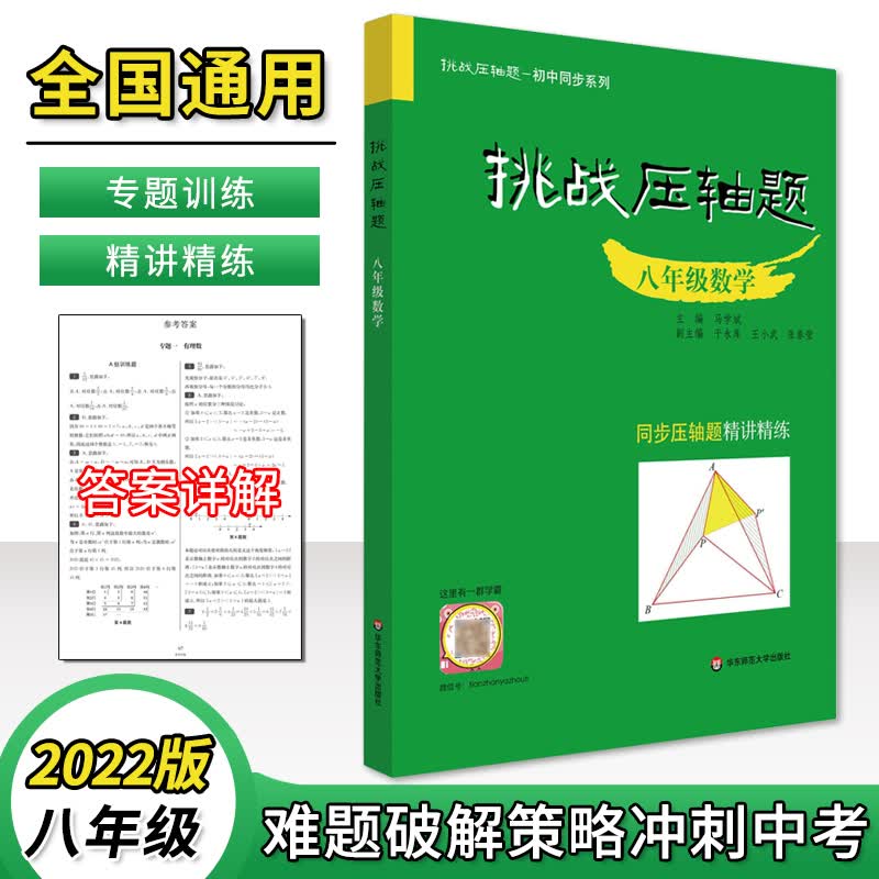 挑战压轴题八年级数学上下精讲精练专题同步练习册初中数学刷题选择填空解答大题突破解策略AB卷期中期末