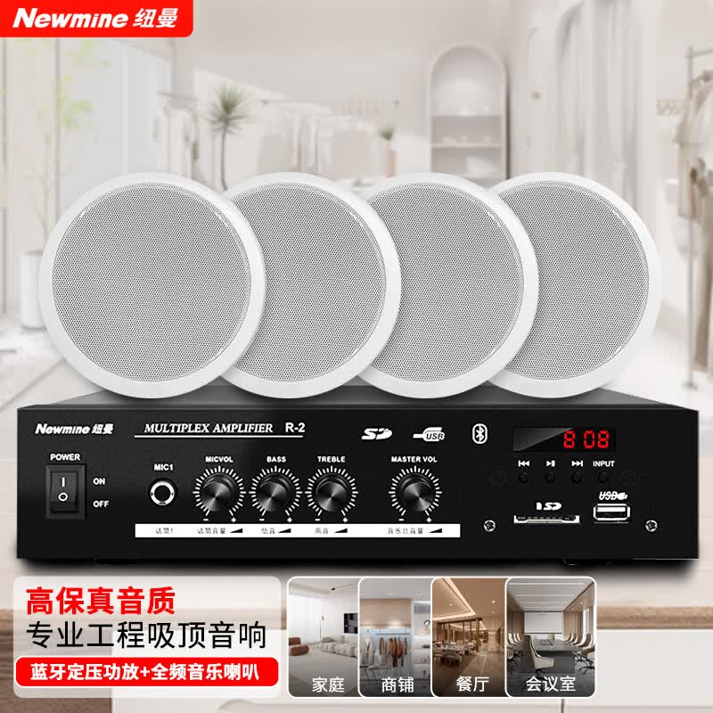 纽曼 (Newmine) R15 定压吸顶喇叭音响套装 吊顶背景音乐公共广播功放音箱系统（ 一拖四）怎么看?