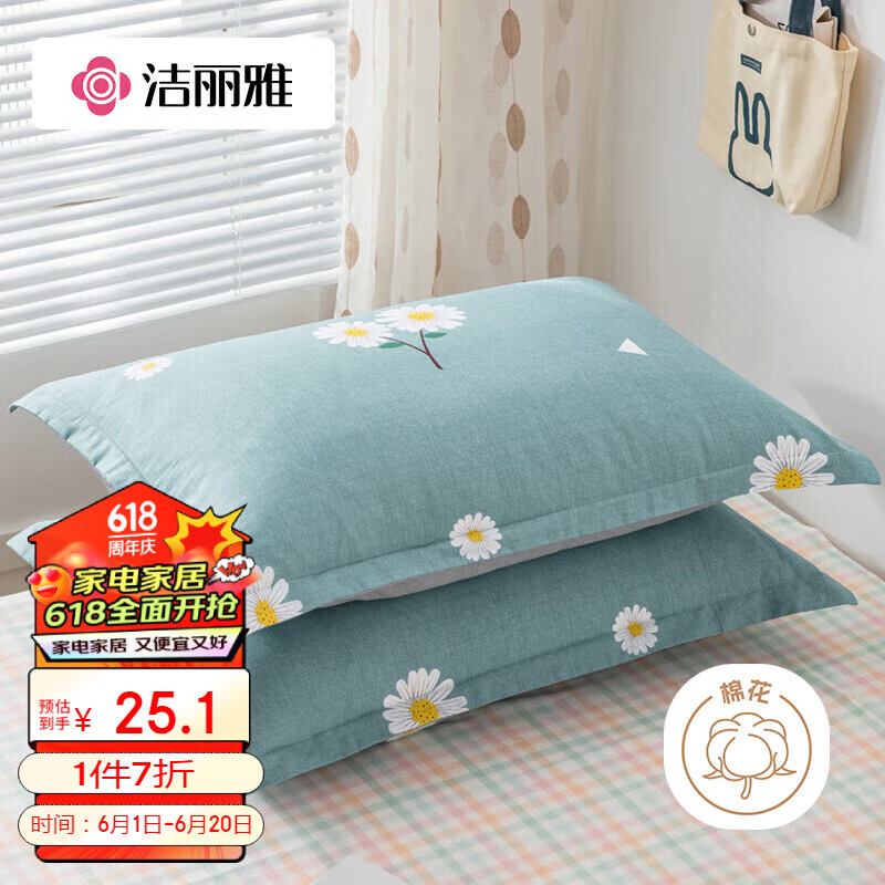 洁丽雅（Grace）纯棉枕套一对 加厚家用印花枕头套枕芯套 花漾-蓝48*74cm