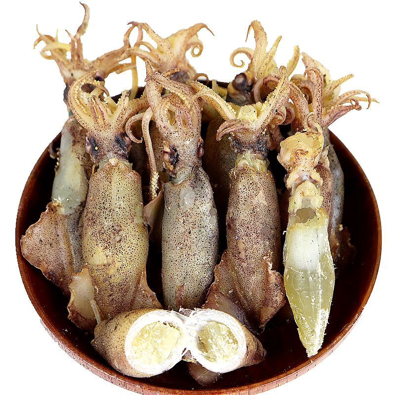 禾澹中号籽乌干新鲜海兔子笔管鱼满籽500带籽乌贼海鲜干货