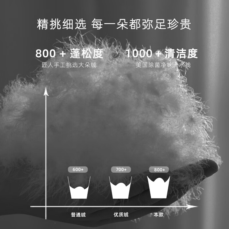 ThreeGeese羽绒被95白鸭绒被美国进口防绒加厚冬季双人被子被芯春秋四季被 白色冬被 220x240cm