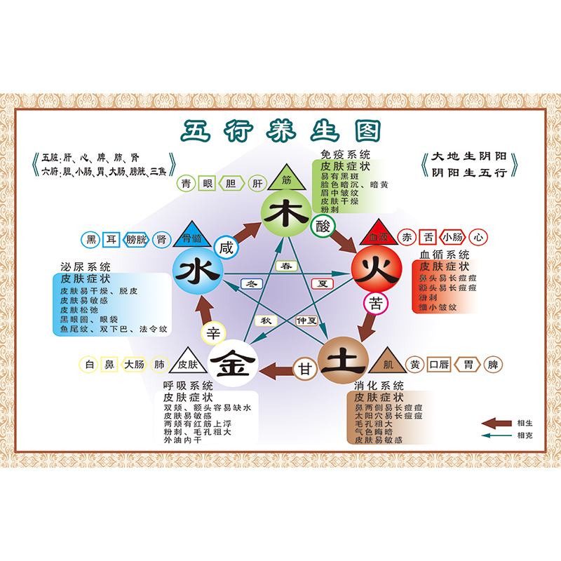 五行养生图 60*90厘米=36寸  厚pp胶(背面带胶)