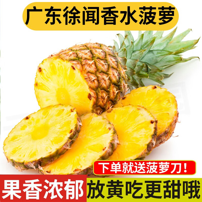 良知农哥广东湛江徐闻新鲜香水菠萝 9斤中果约6-8个（配菠萝刀）