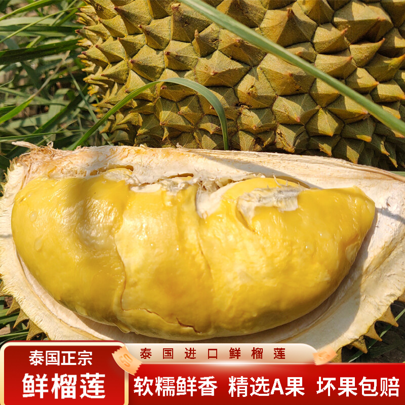 晨木鲜生 泰国进口金枕榴莲鲜果 金枕头巴掌榴莲水果生鲜 2-3斤榴莲(包3房）怎么看?