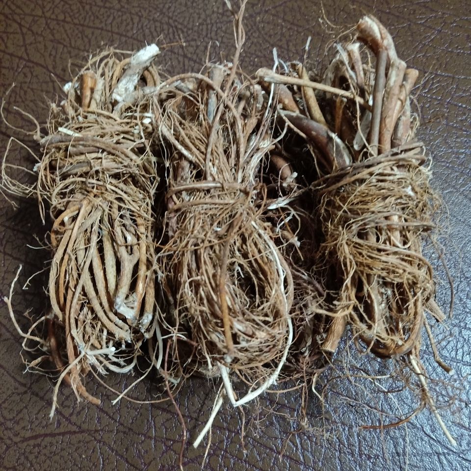 七爪毛桃七子毛桃福建漳州草药七指毛桃根七爪毛桃 细根捆扎浓香500g