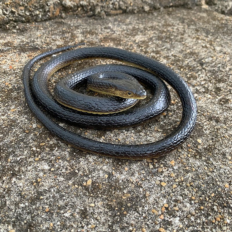 闻西假蛇蛇大号仿真动物长模型橡皮软硅胶整蛊恶搞吓人道具儿童玩具蛇