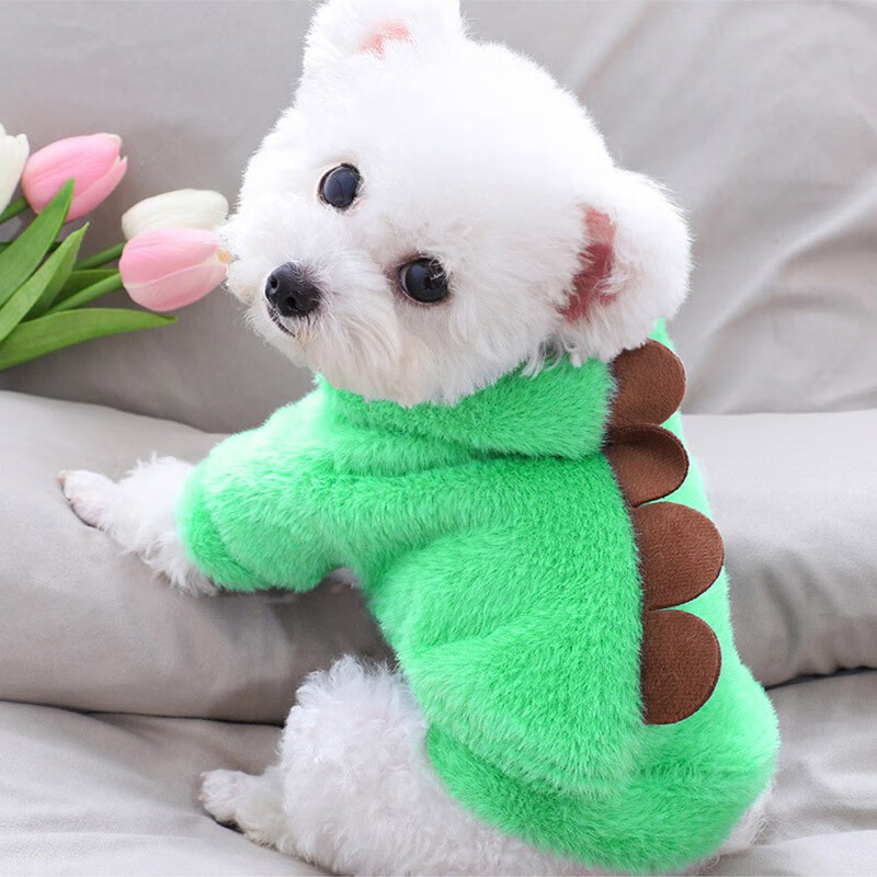 查宠物鞋服历史价格|宠物鞋服价格走势图