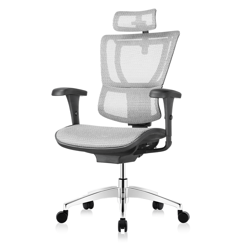 Ergonor保友优b电脑椅人体工学椅家用电竞椅办公椅子靠背椅老板椅 银白色(美国网)【推荐】 升级款