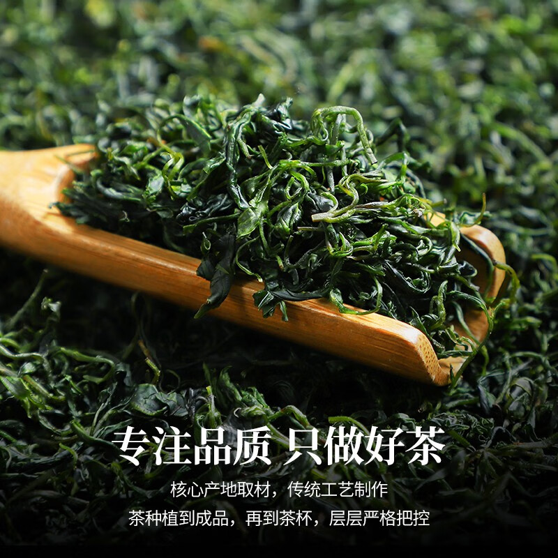 秋博源小叶苦丁茶2024年贵州青山绿水茶非特级野生茶叶250g 【大罐】