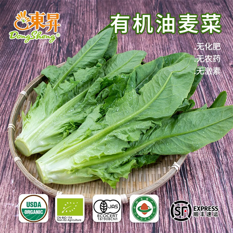东升有机油麦菜 300g 莜麦菜苦菜牛俐生菜 广州供港新鲜蔬菜