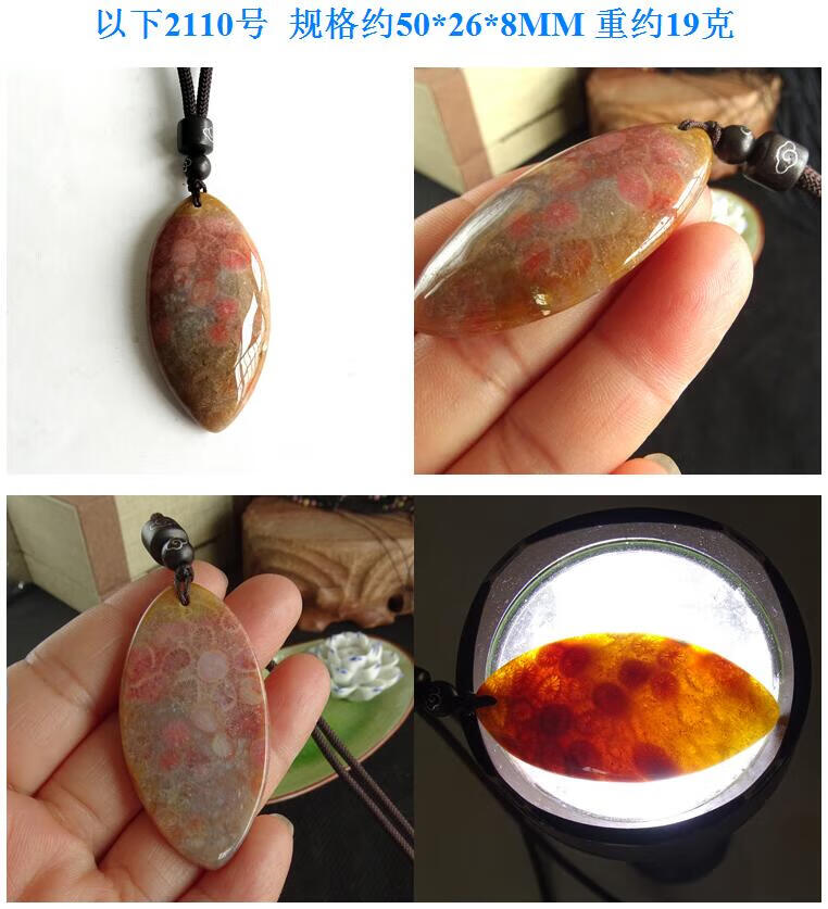 zbjp珊瑚玉吊坠 菊花石珊瑚玉毛衣炼 珊瑚化石玉化 实物 2110号实物