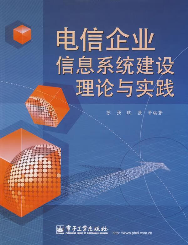 电信企业信息系统建设理论与实践