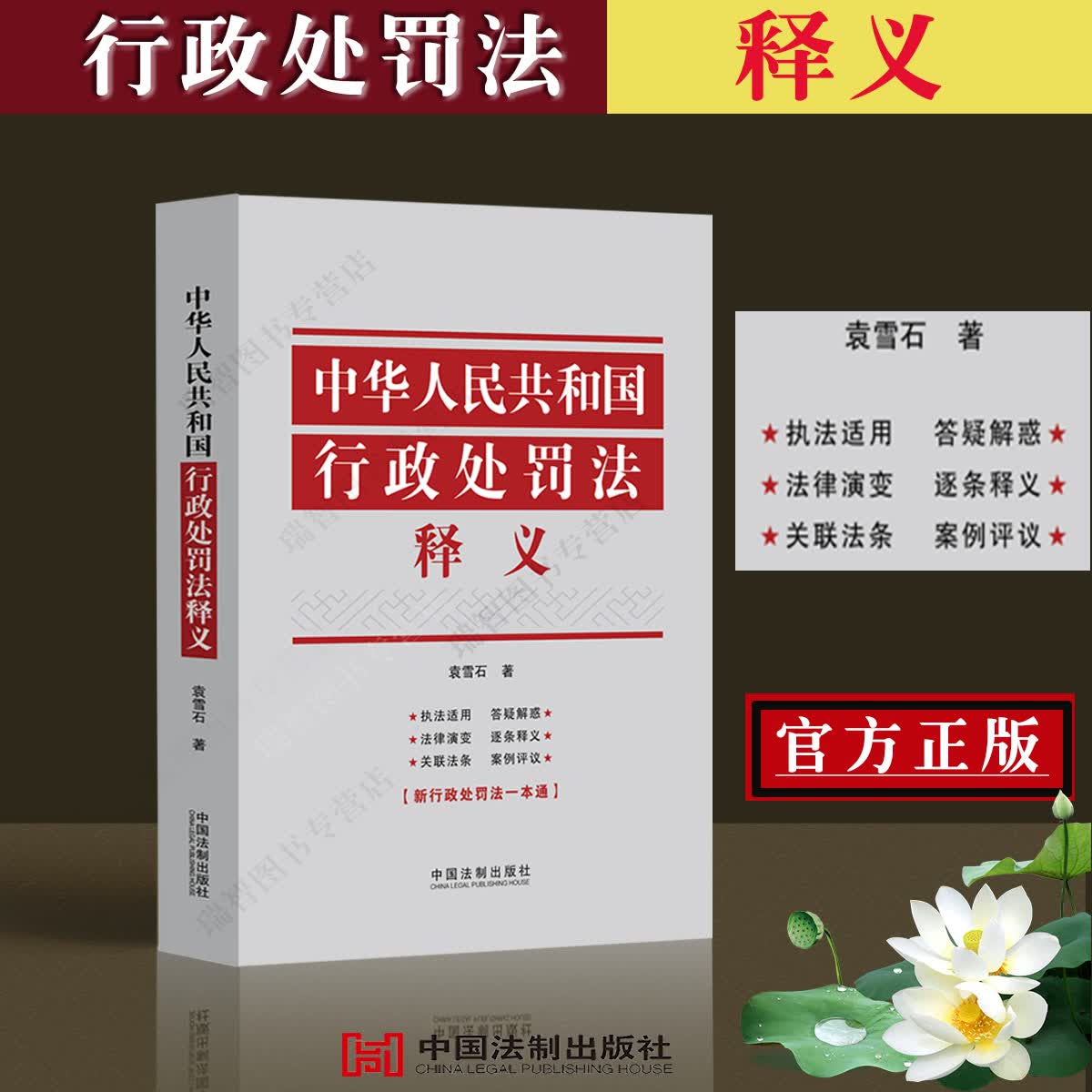 现货书中华人民共和国行政处罚法释义袁雪石行政行政处罚法逐条释义执法适用关联法条 行政执法