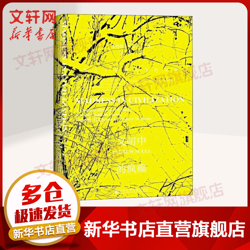 甲骨文丛书·文明中的疯癫:一部关于精神错乱的文化史