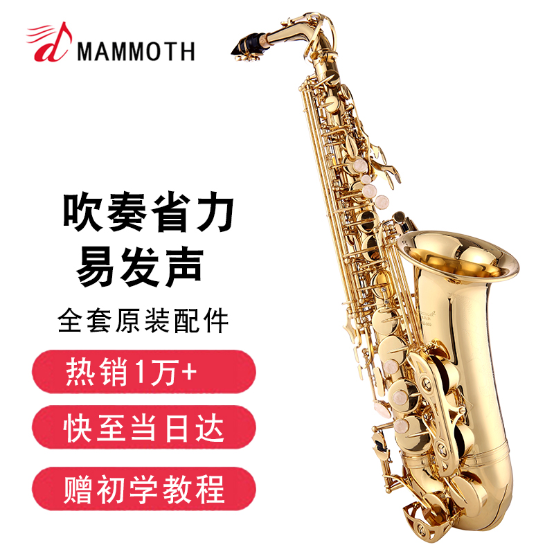真实揭秘了解猛犸象乐器萨克斯还可以吗？分享两个月感受分享