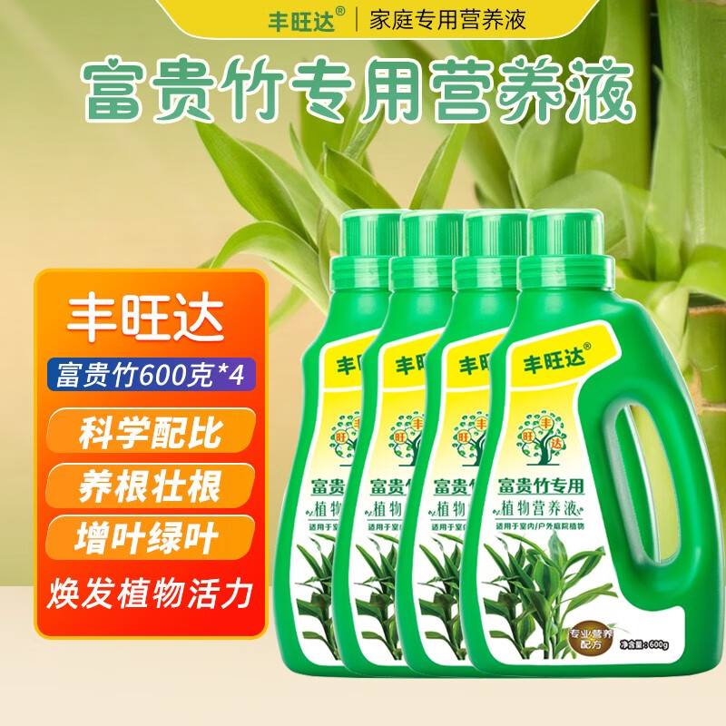 营养液600ml转运竹观音竹子水培家用水养专用肥料 富贵竹营养液4瓶