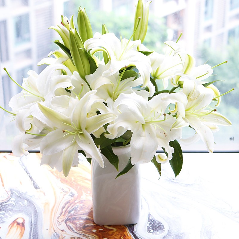 白百何 相关京东优惠商品排行榜 价格图片品牌优惠券 虎窝购