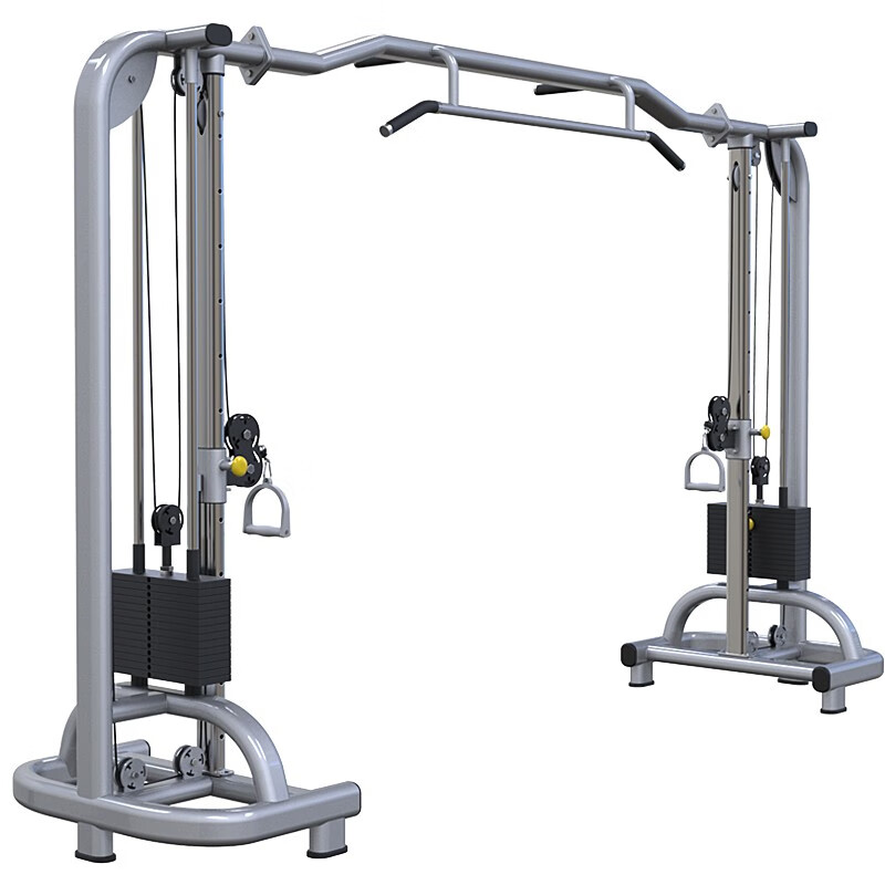 驰尚大飞鸟龙门架综合训练器大飞鹰训练机商用健身器材夹胸练胸肌