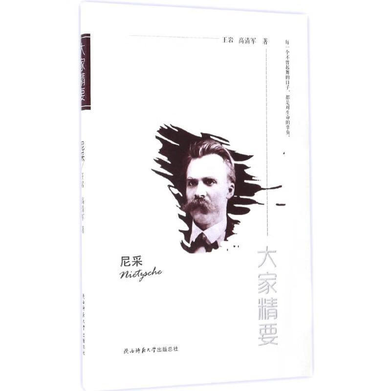 尼采 王岩 高清军 著 9787561373118正版