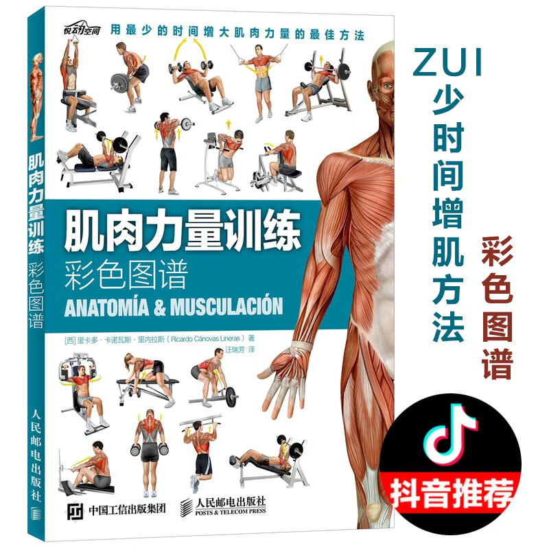 肌肉力量训练彩色图谱 肌肉训练图解教程书籍 全身肌肉训练指南 拉伸