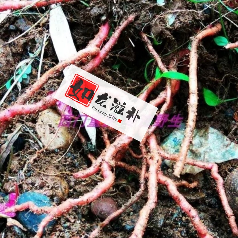 牛膝 红牛克膝 白牛克膝 土牛膝 红牛膝白牛膝根全棵新鲜现采 根(鲜)